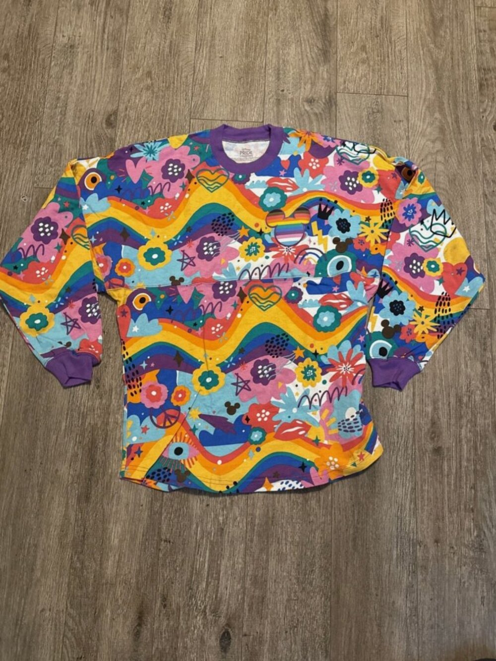 Disney Mickey Mouse Spirit Jersey Pullover Pride Collection Adult XS